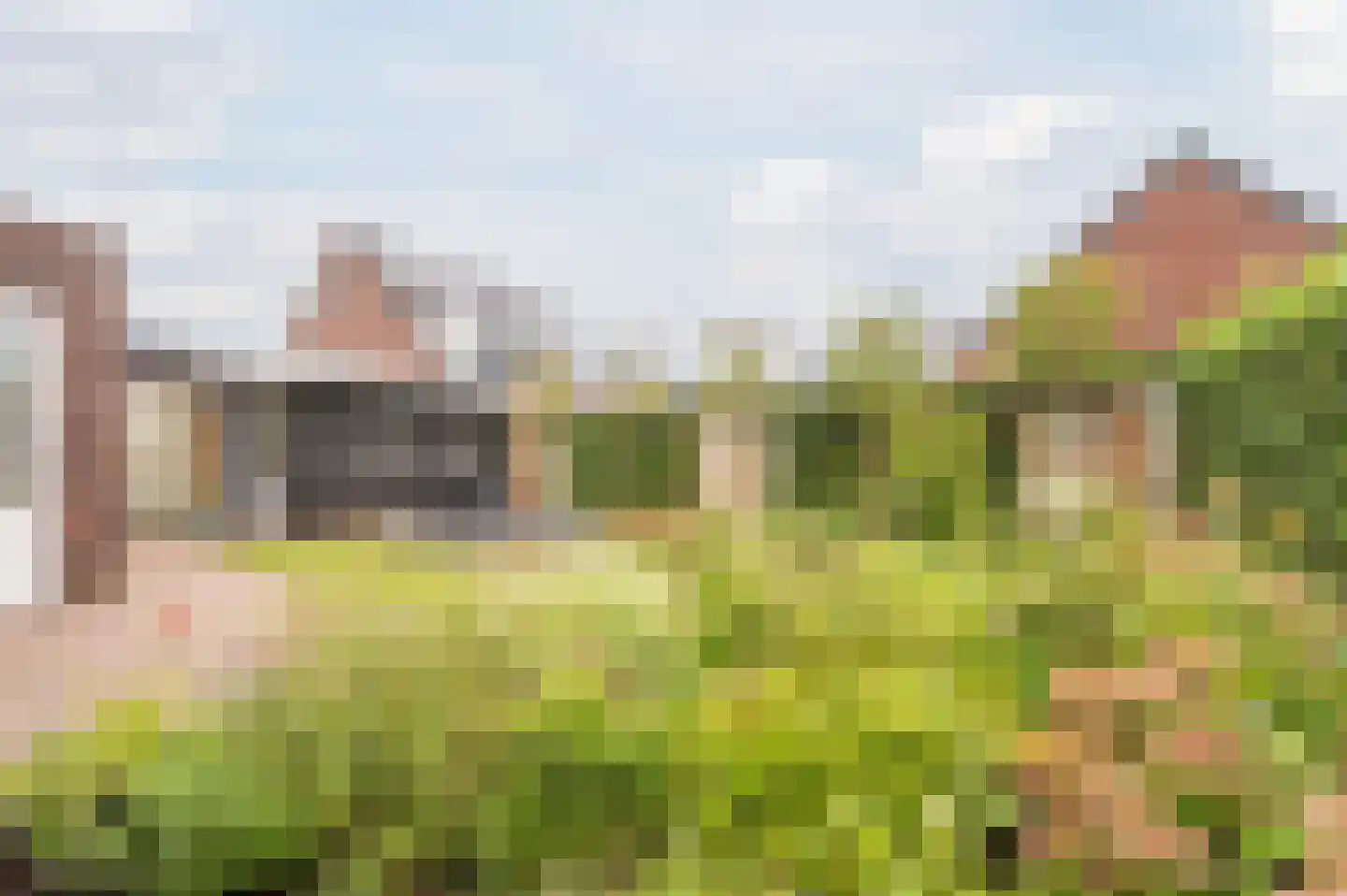 Adelaarshof 6 Elsendorp thumbnail 43