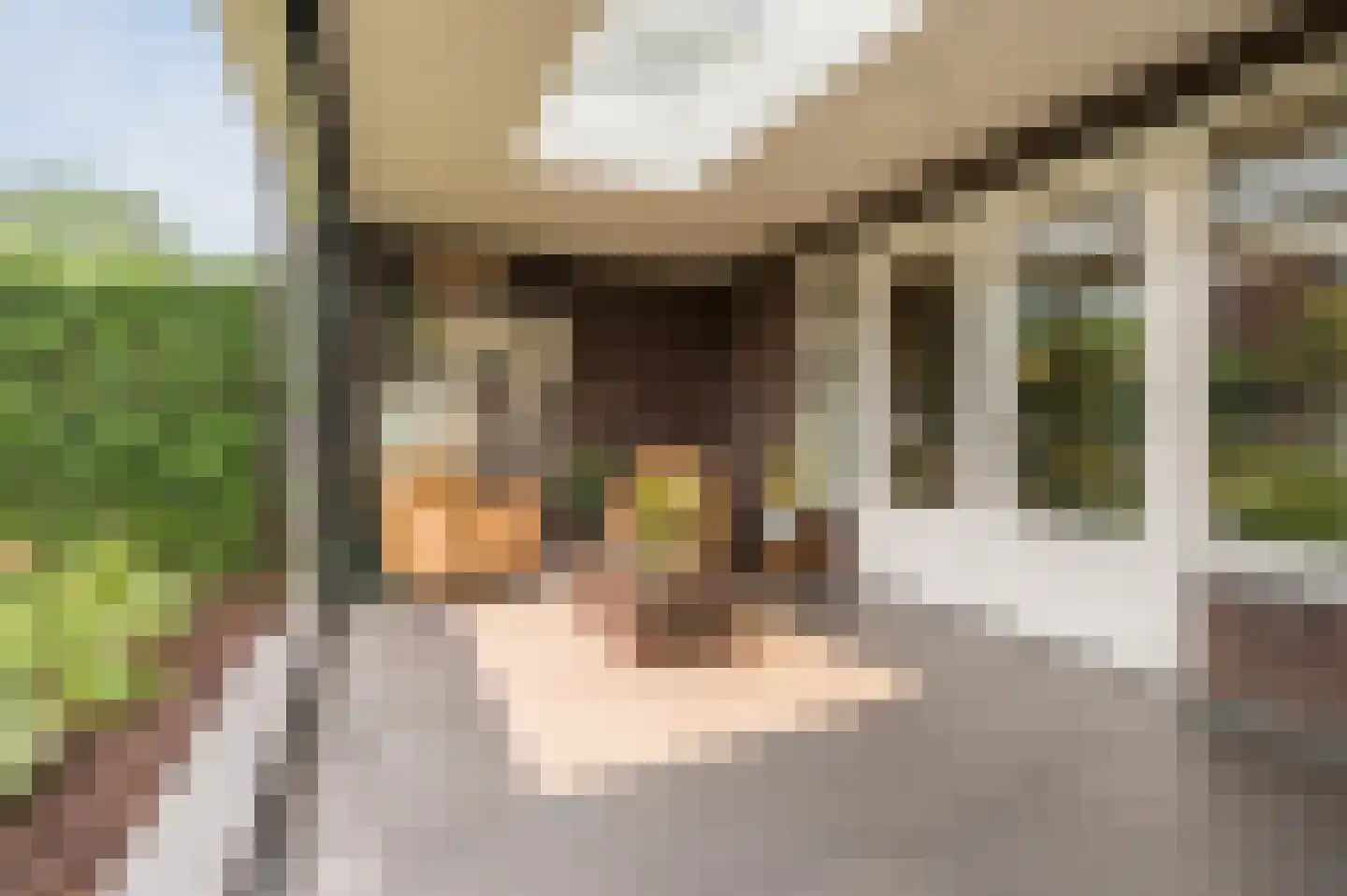 Adelaarshof 6 Elsendorp thumbnail 44