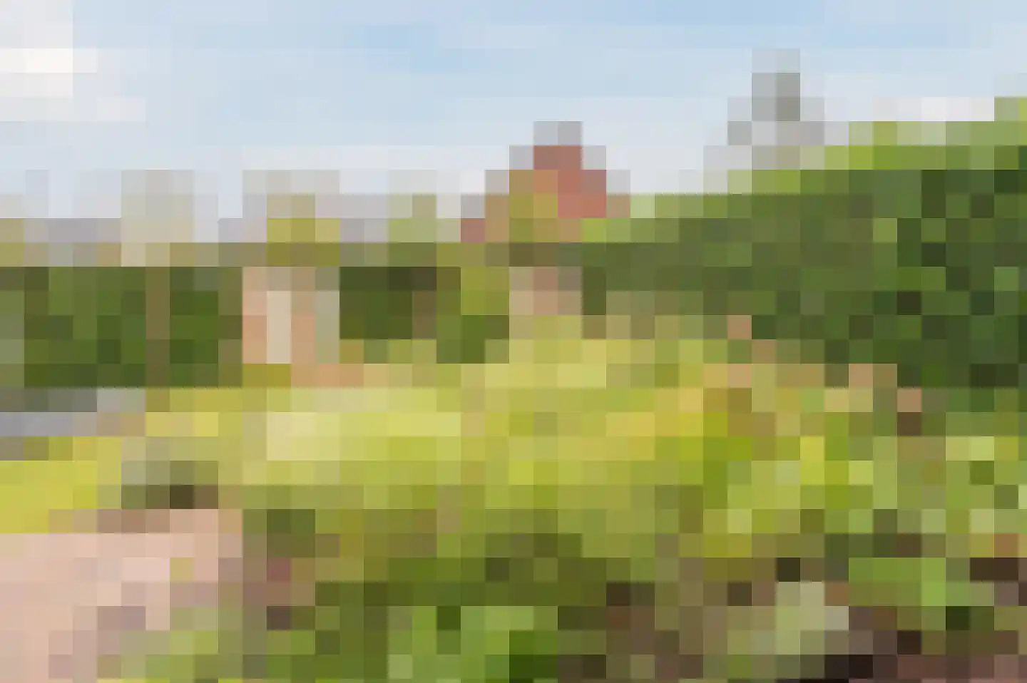 Adelaarshof 6 Elsendorp thumbnail 47