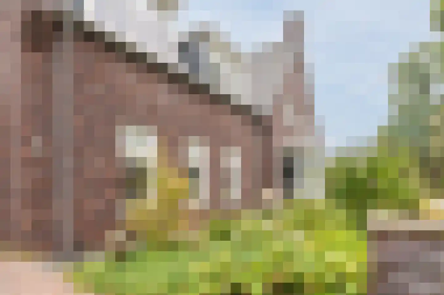 Adelaarshof 6 Elsendorp thumbnail 50