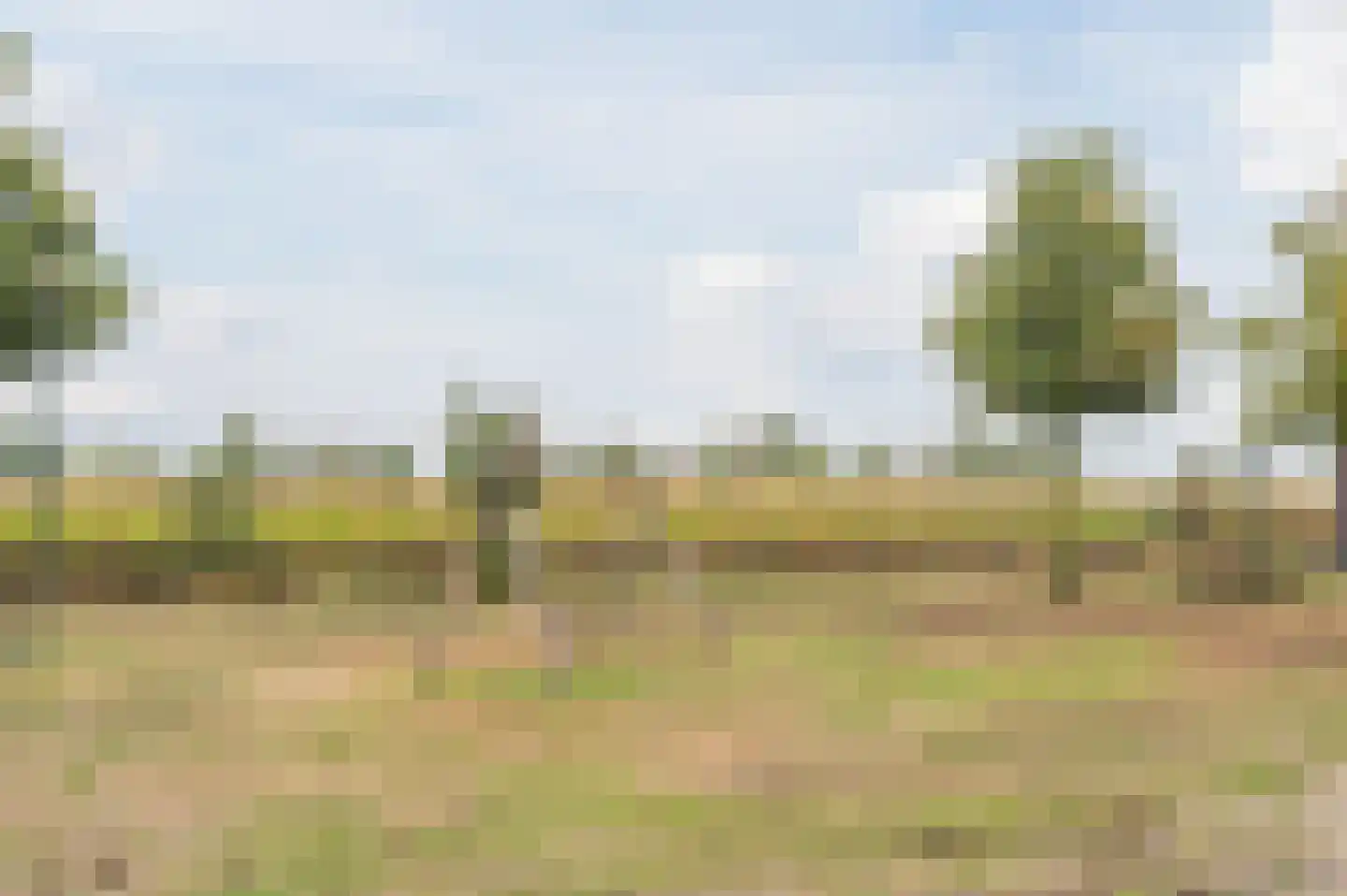 Adelaarshof 6 Elsendorp thumbnail 53