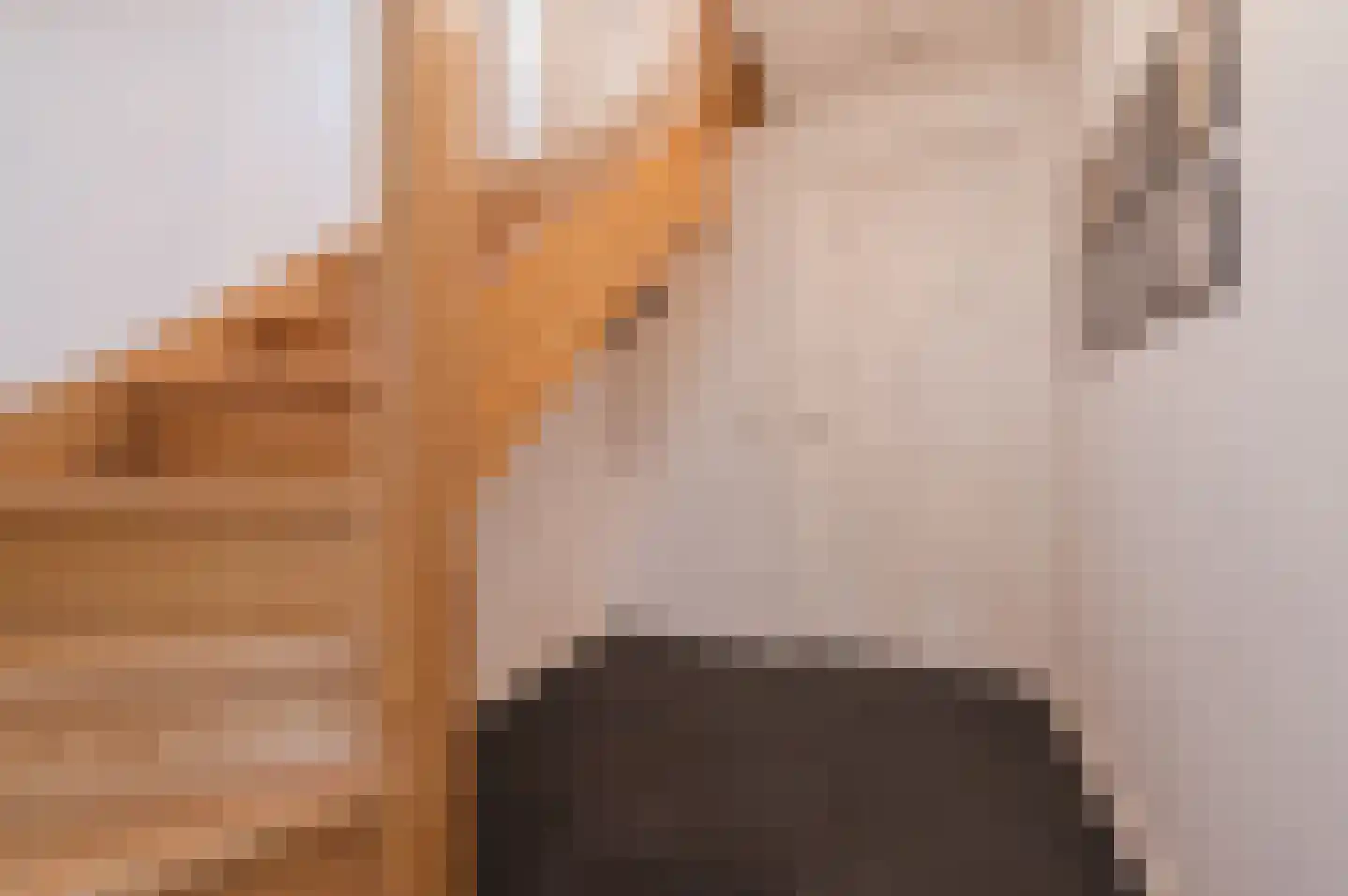 Adelaarshof 6 Elsendorp thumbnail 8