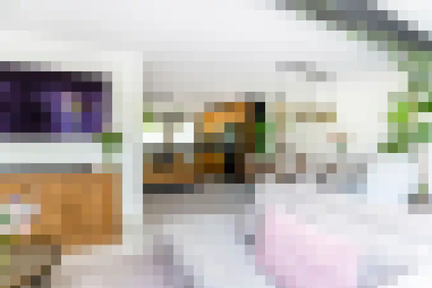 Adelaarshorst 1 Honselersdijk thumbnail 10