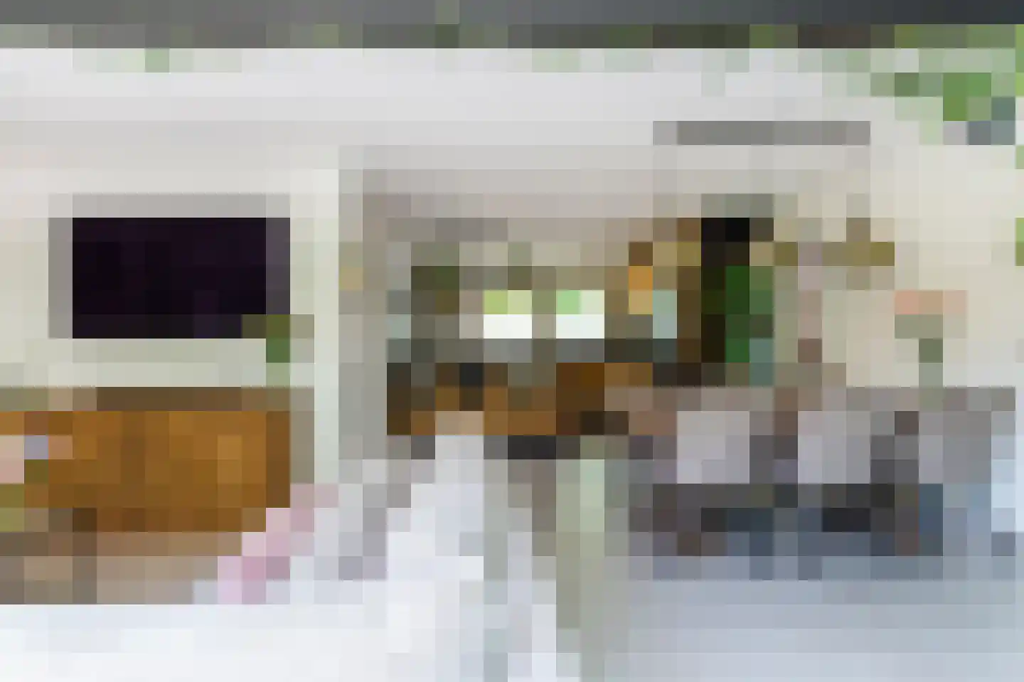 Adelaarshorst 1 Honselersdijk thumbnail 11