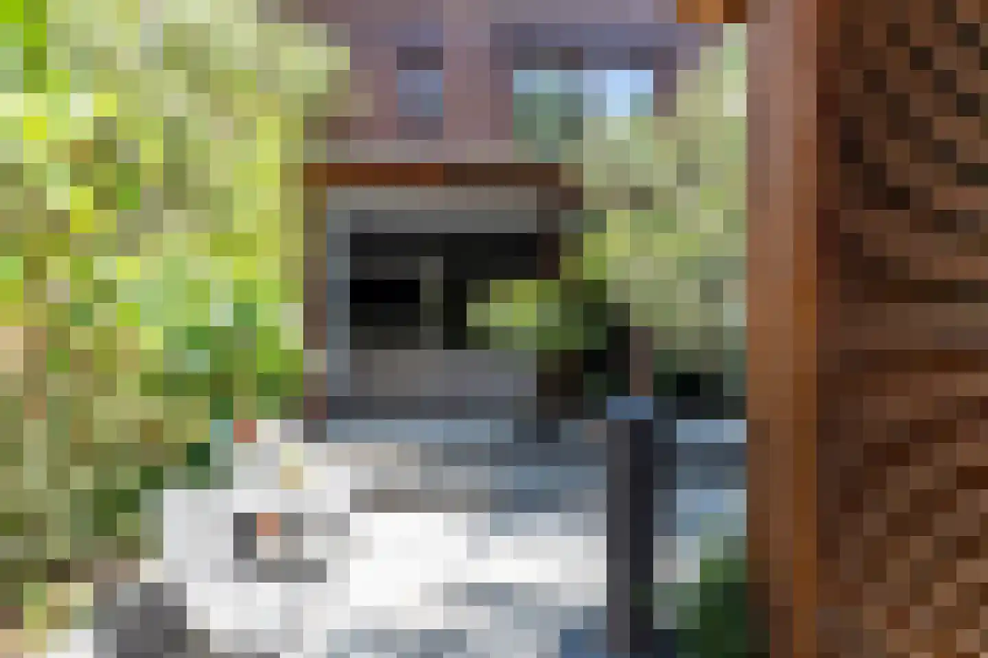 Adelaarshorst 1 Honselersdijk thumbnail 16