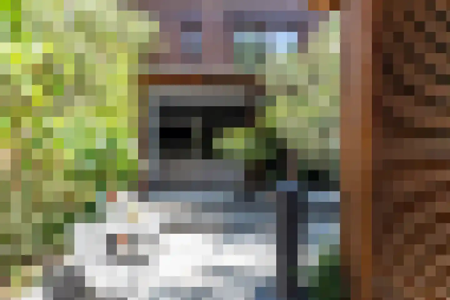 Adelaarshorst 1 Honselersdijk thumbnail 16