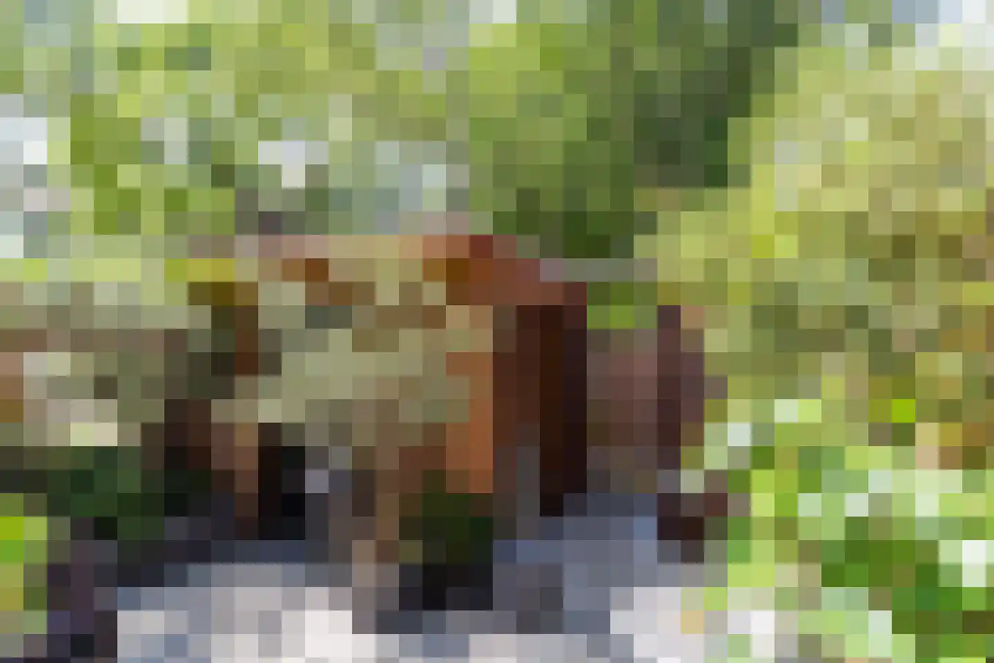 Adelaarshorst 1 Honselersdijk thumbnail 18