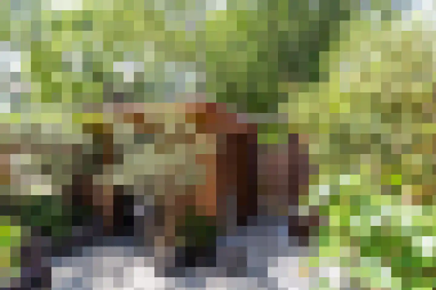 Adelaarshorst 1 Honselersdijk thumbnail 18