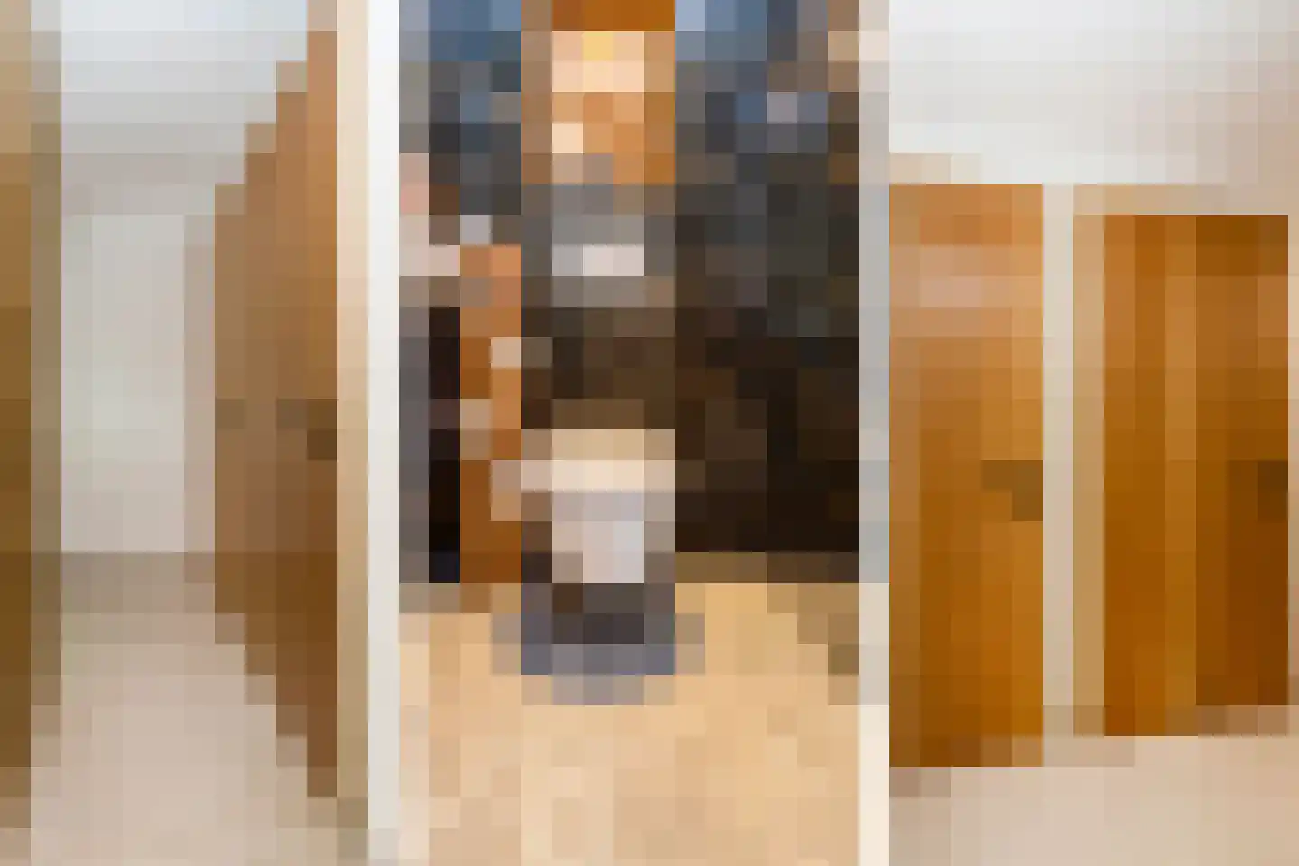 Adelaarshorst 1 Honselersdijk thumbnail 19