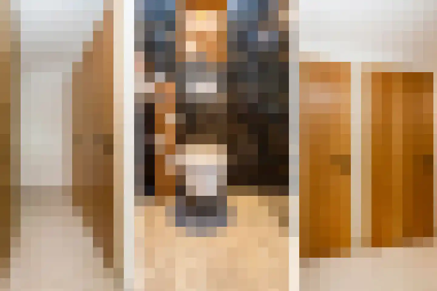 Adelaarshorst 1 Honselersdijk thumbnail 19