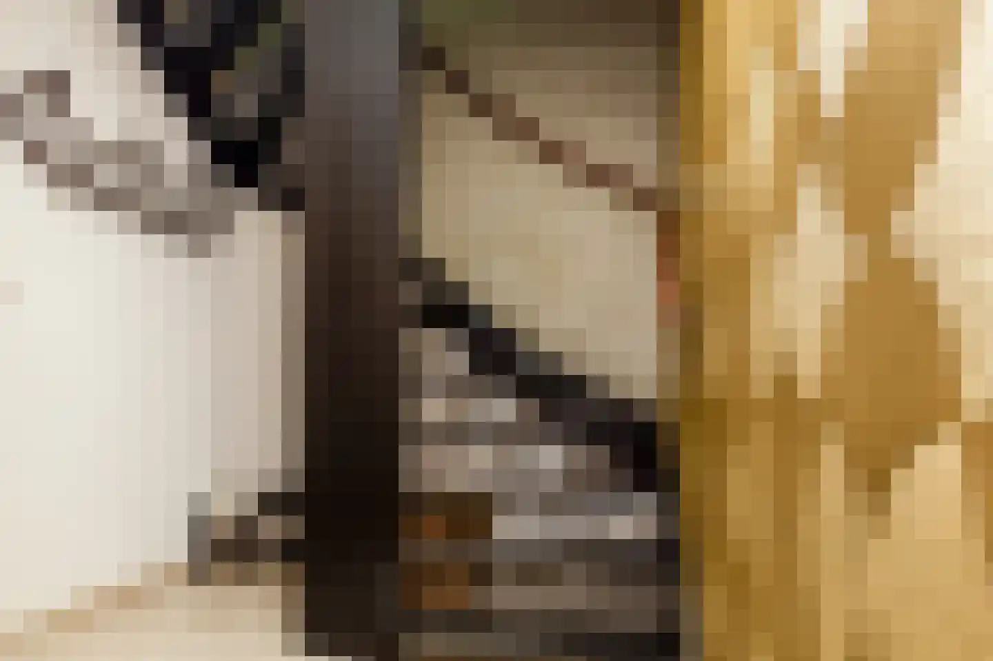 Adelaarshorst 1 Honselersdijk thumbnail 20