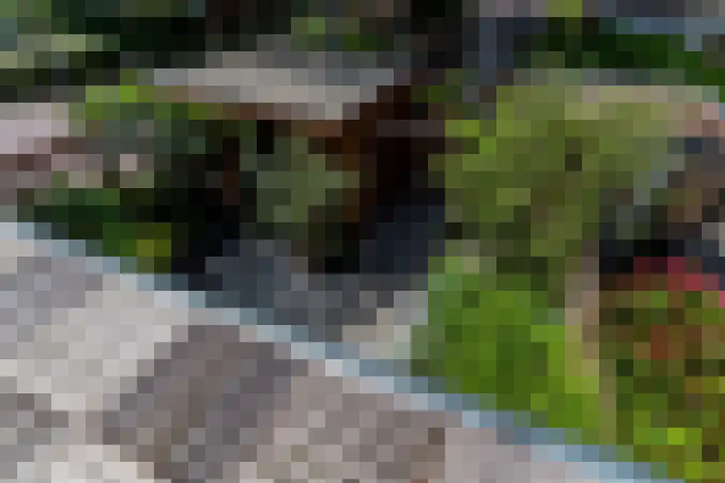 Adelaarshorst 1 Honselersdijk thumbnail 23
