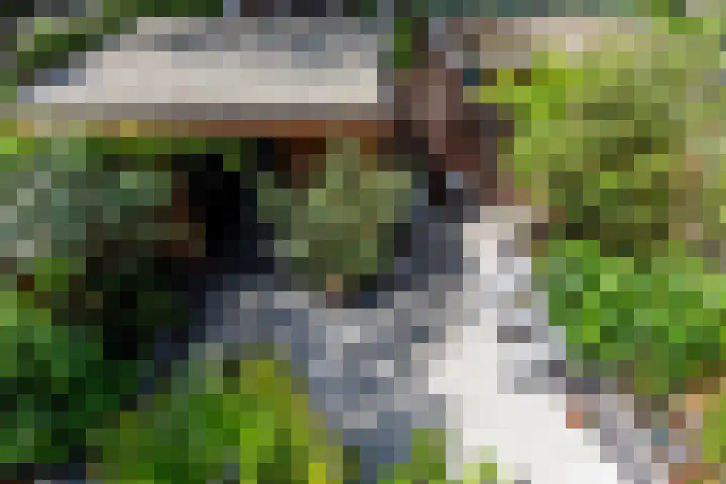 Adelaarshorst 1 Honselersdijk thumbnail 24