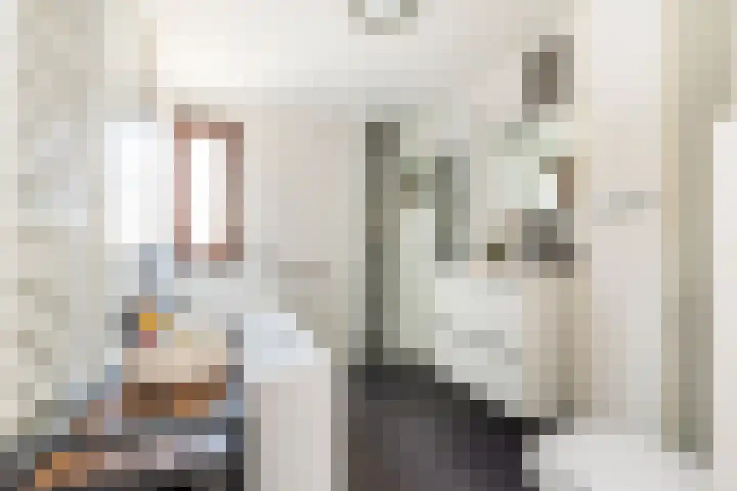 Adelaarshorst 1 Honselersdijk thumbnail 28