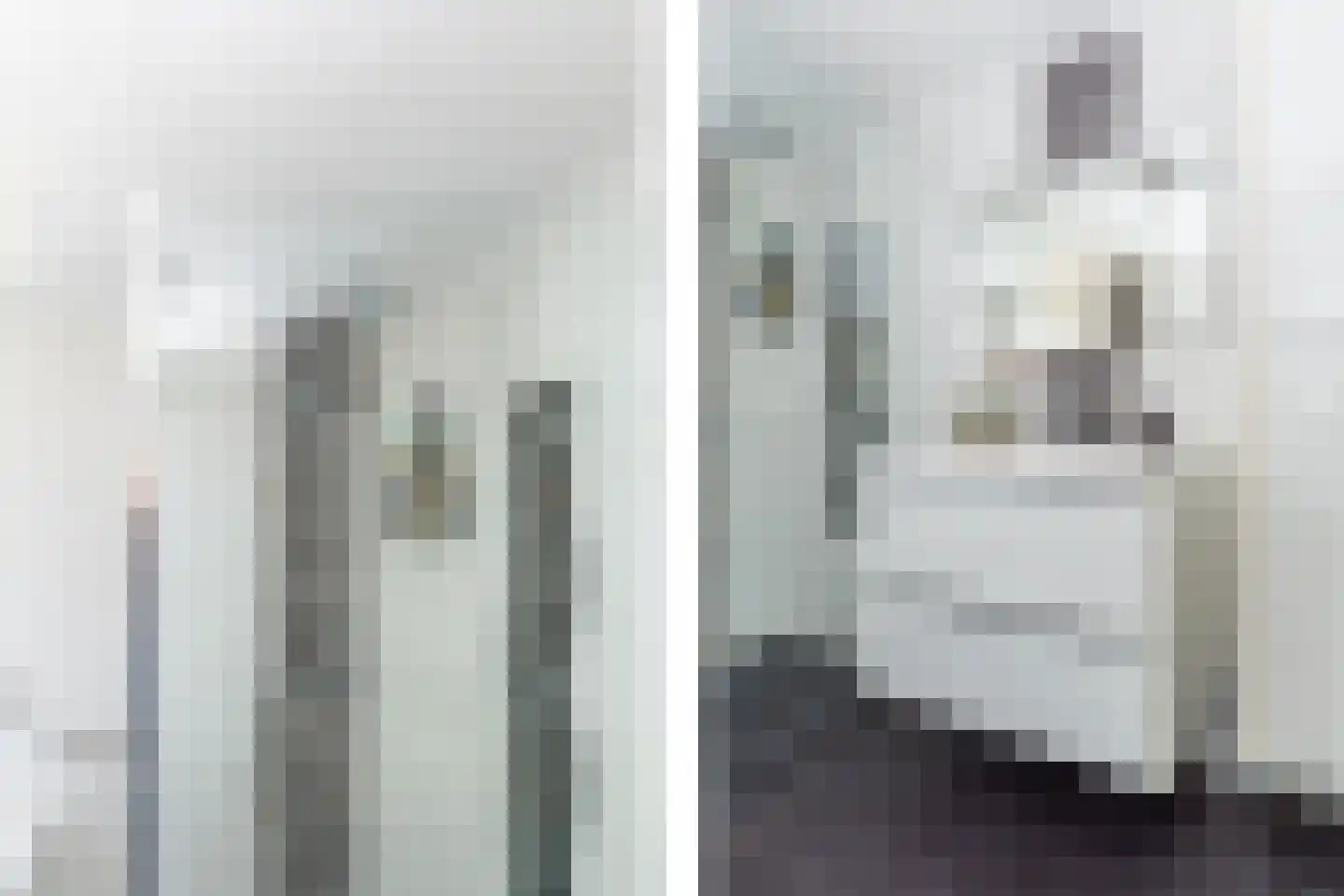 Adelaarshorst 1 Honselersdijk thumbnail 29