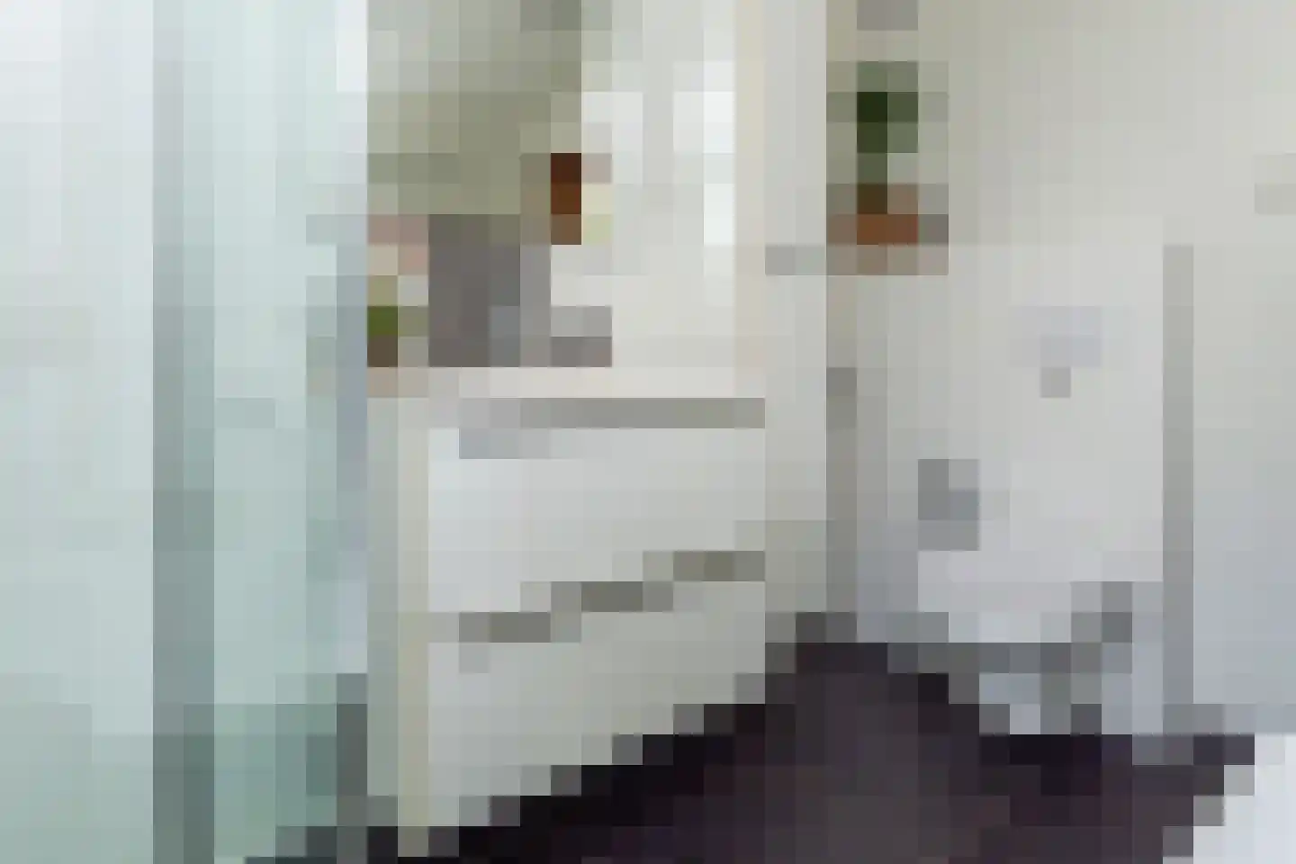 Adelaarshorst 1 Honselersdijk thumbnail 30