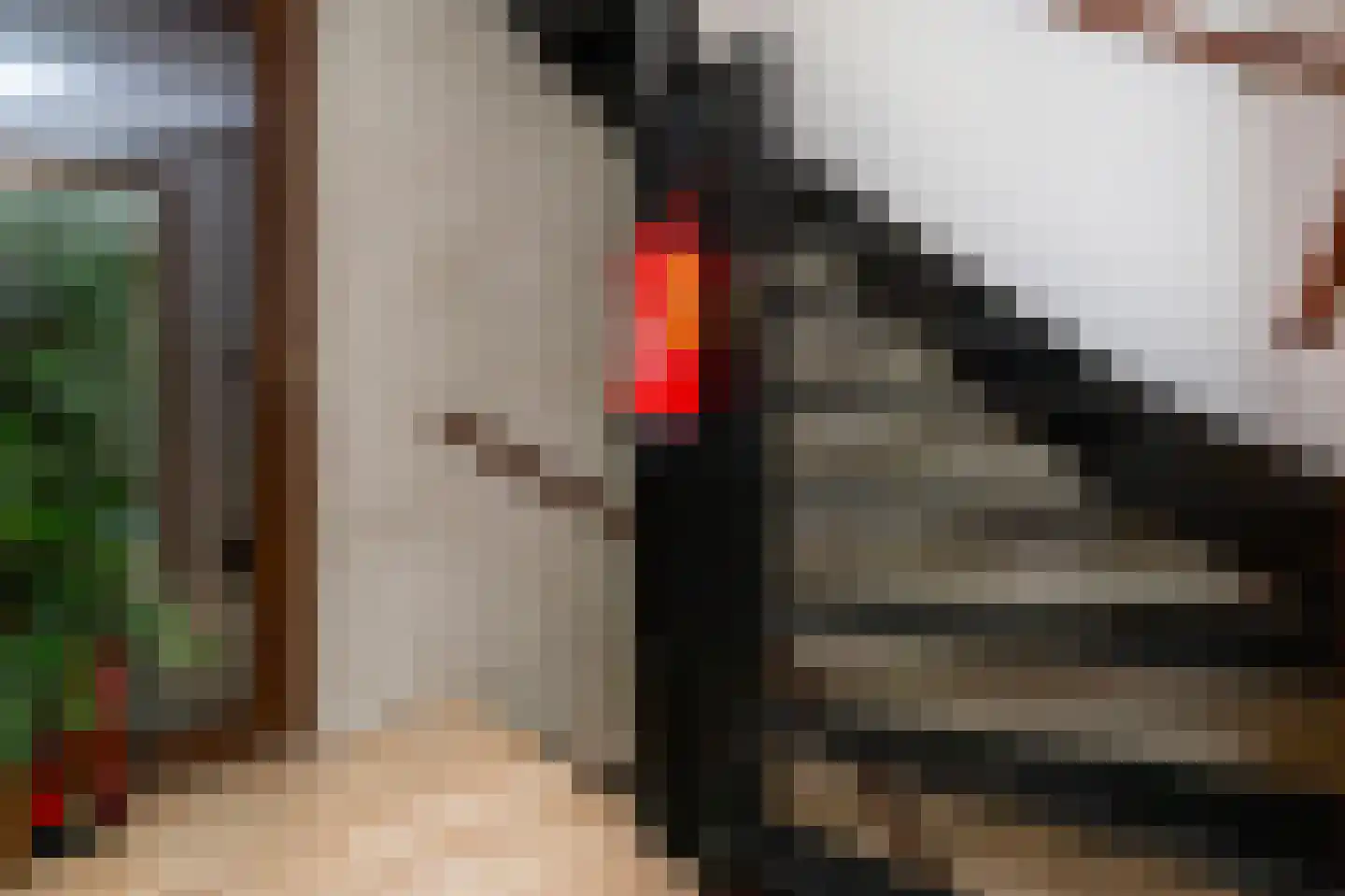 Adelaarshorst 1 Honselersdijk thumbnail 31