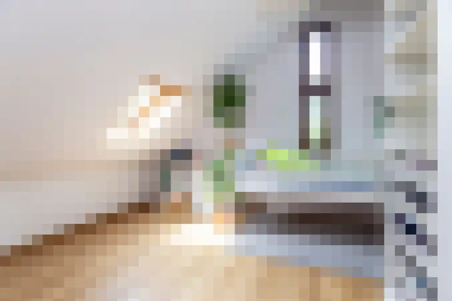 Adelaarshorst 1 Honselersdijk thumbnail 34