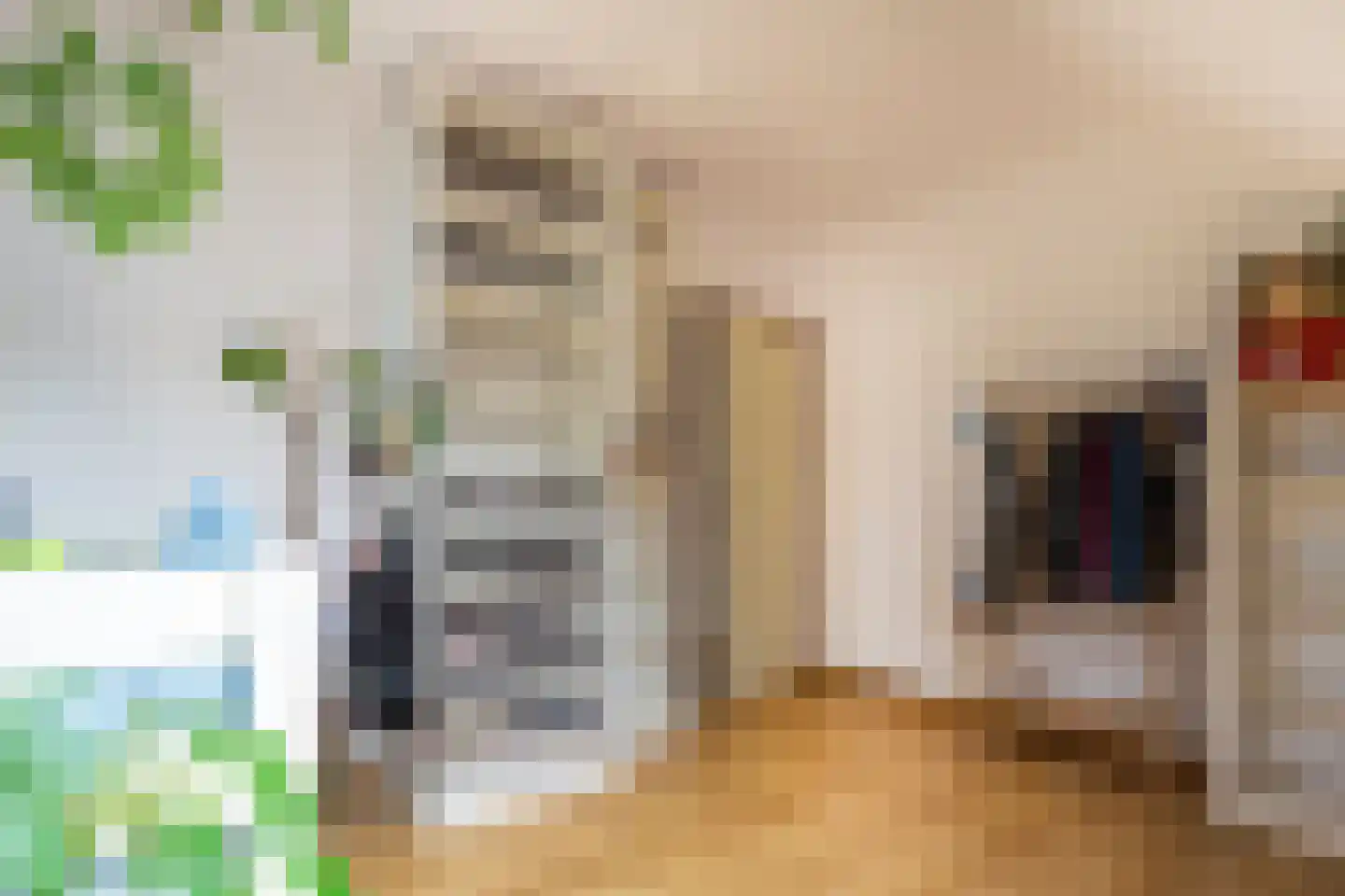 Adelaarshorst 1 Honselersdijk thumbnail 35