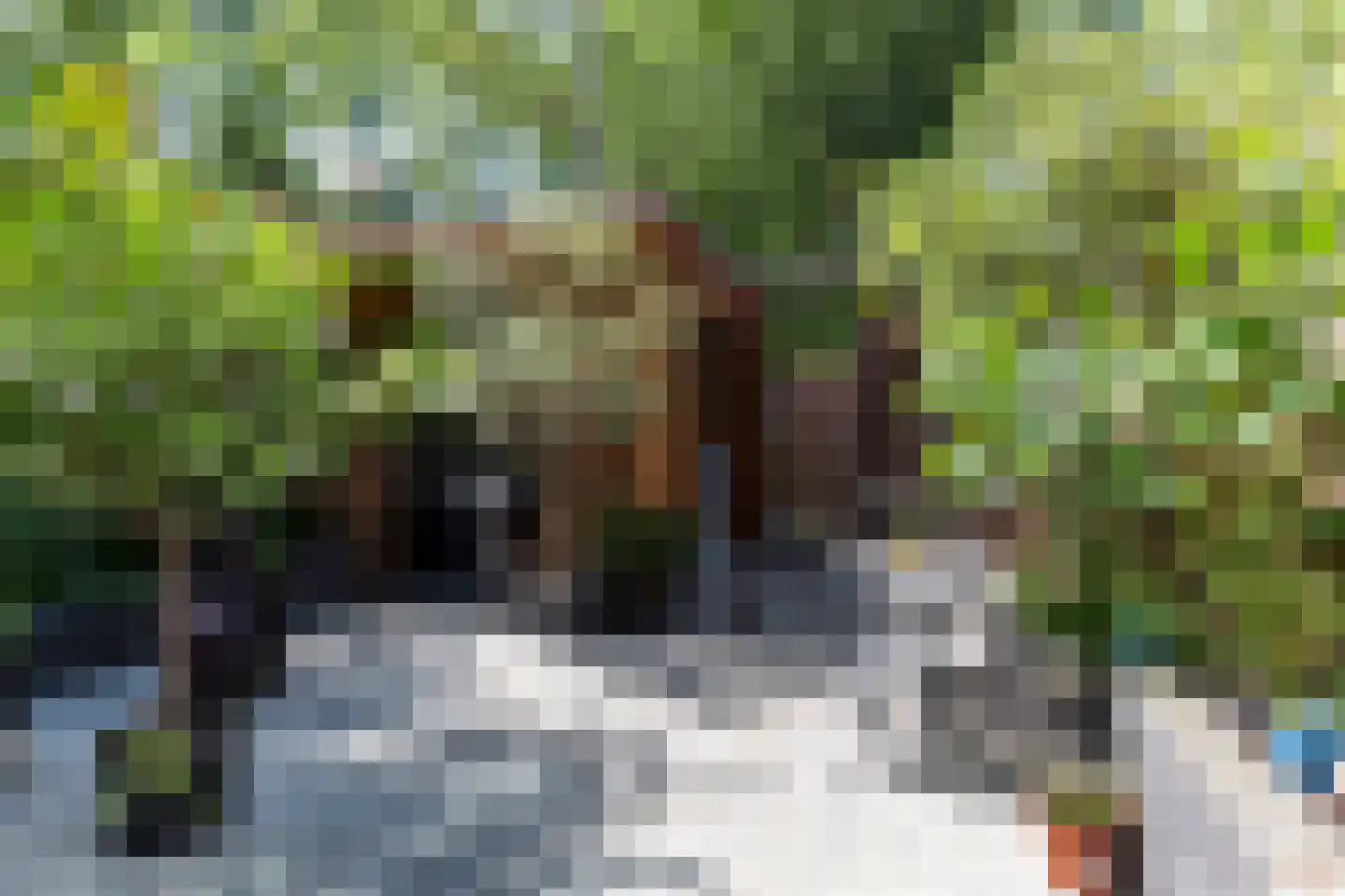 Adelaarshorst 1 Honselersdijk thumbnail 4