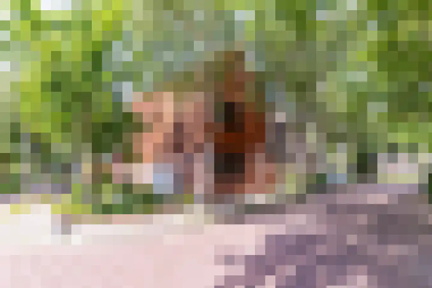 Adelaarshorst 1 Honselersdijk thumbnail 40