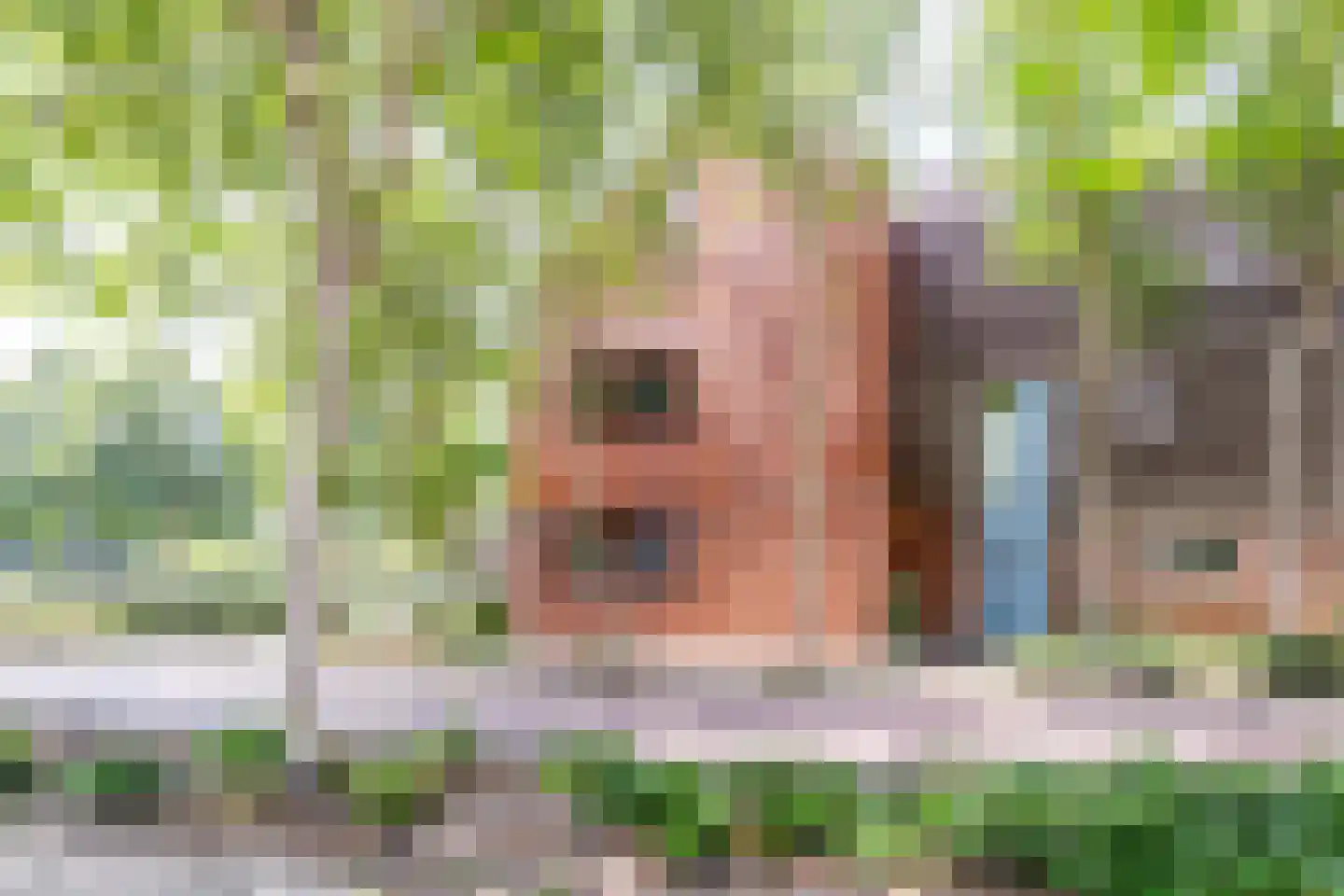Adelaarshorst 1 Honselersdijk thumbnail 41