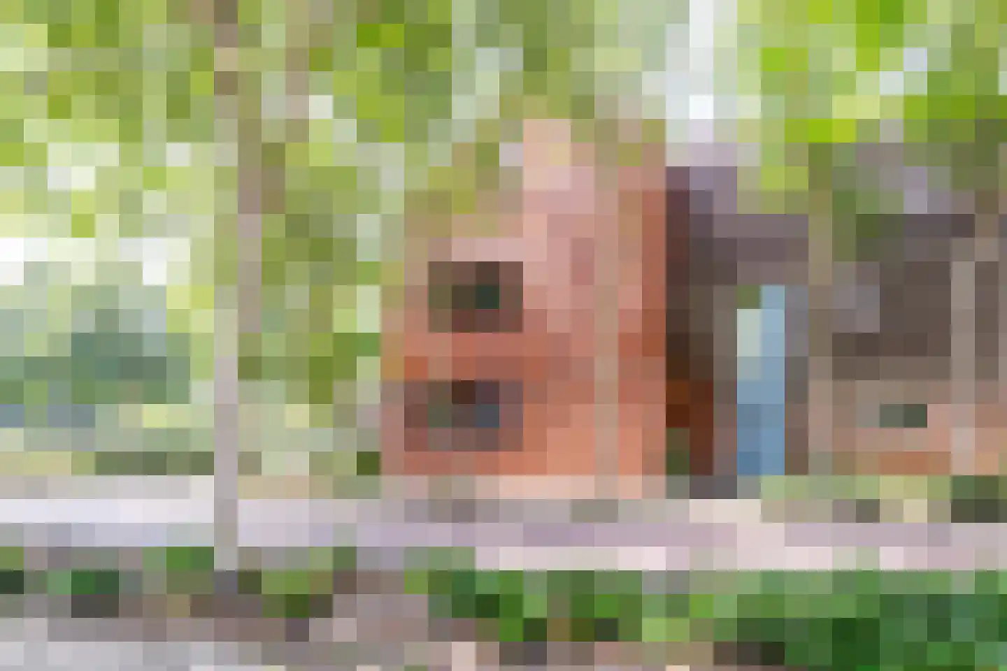 Adelaarshorst 1 Honselersdijk thumbnail 41