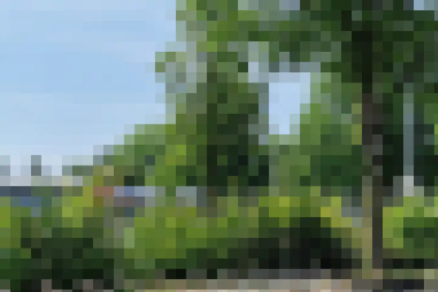 Adelaarshorst 1 Honselersdijk thumbnail 44