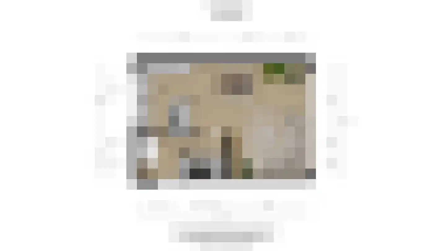 Adelaarshorst 1 Honselersdijk thumbnail 47
