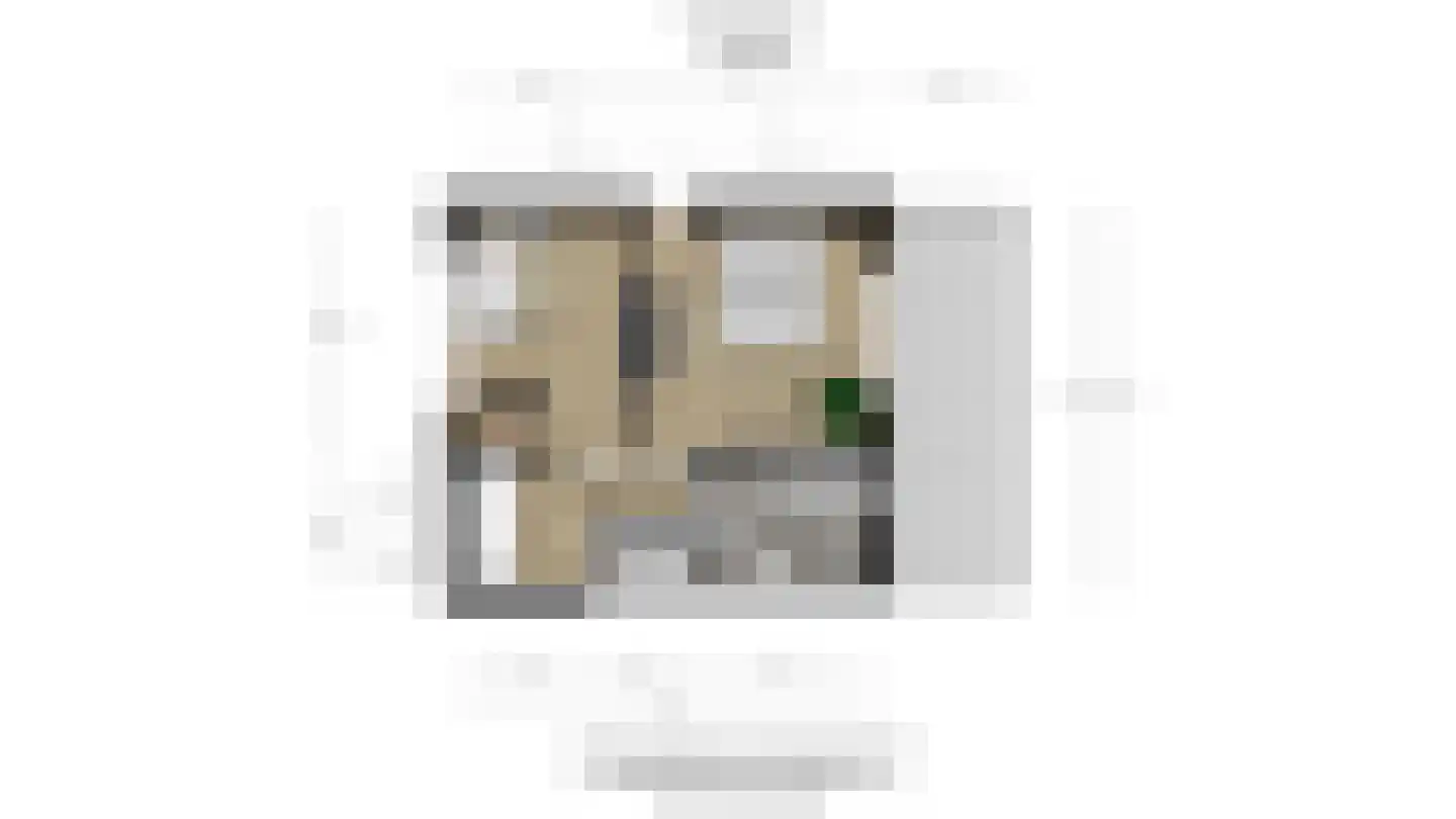 Adelaarshorst 1 Honselersdijk thumbnail 48