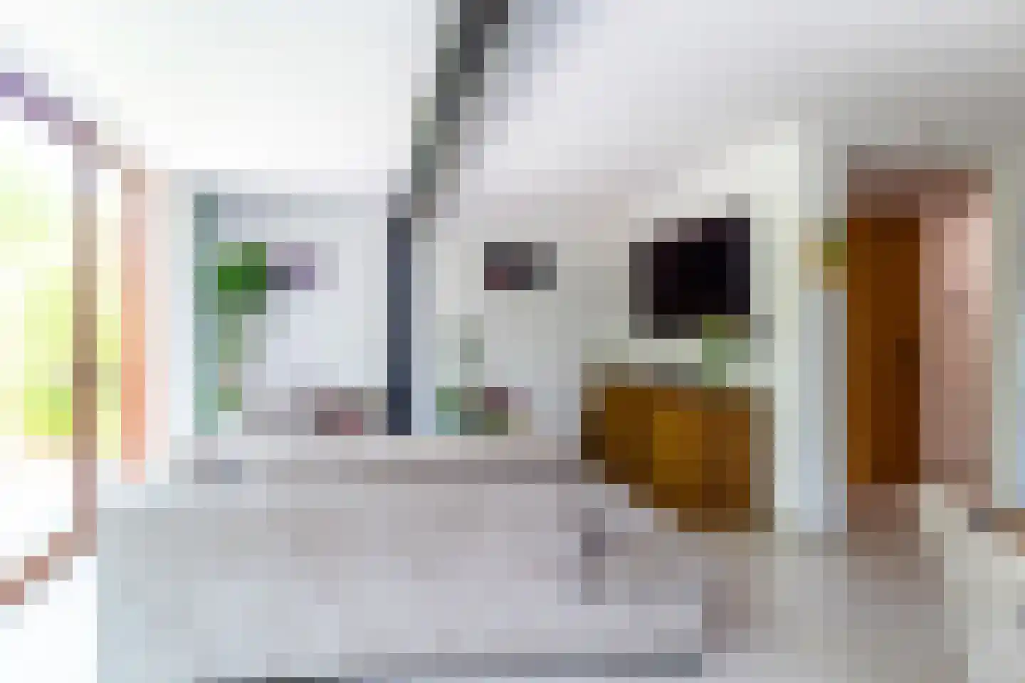 Adelaarshorst 1 Honselersdijk thumbnail 9