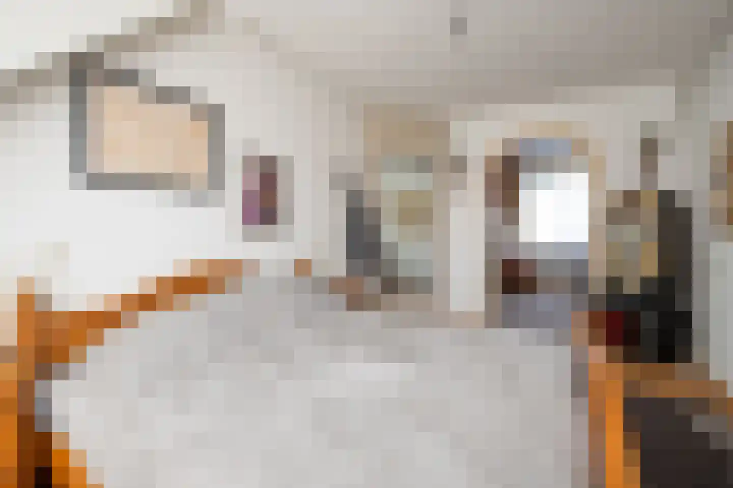 Adelaarshorst 4 Roermond thumbnail 11