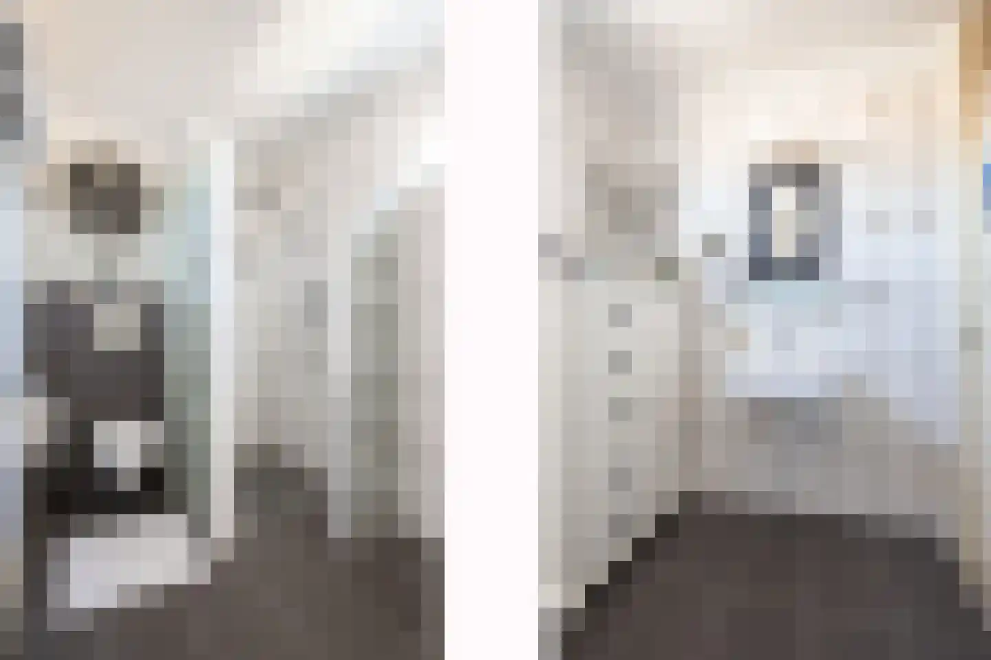 Adelaarshorst 4 Roermond thumbnail 15
