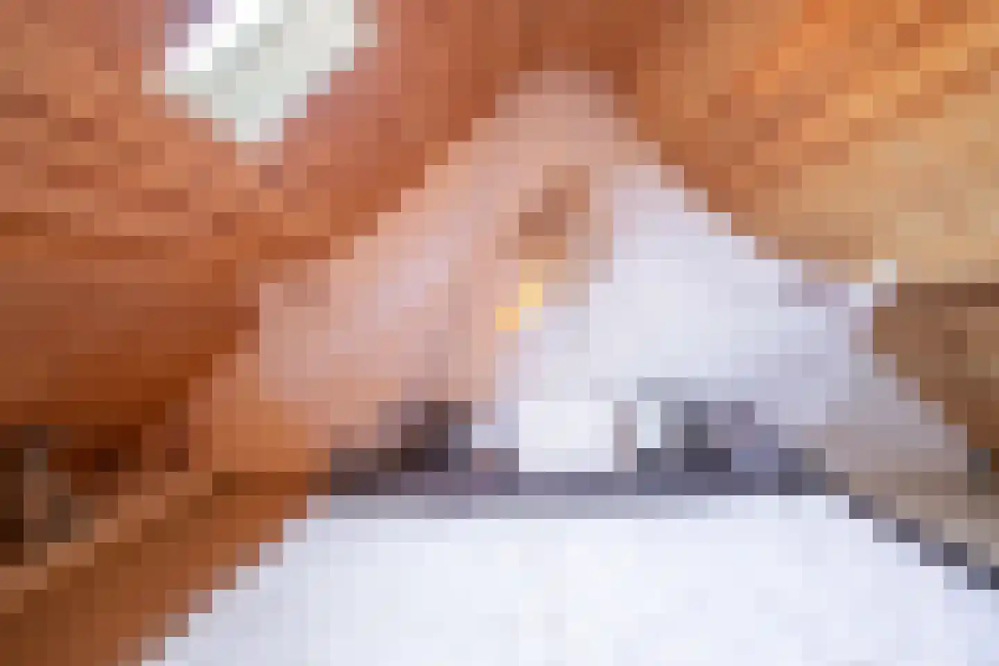 Adelaarshorst 4 Roermond thumbnail 17