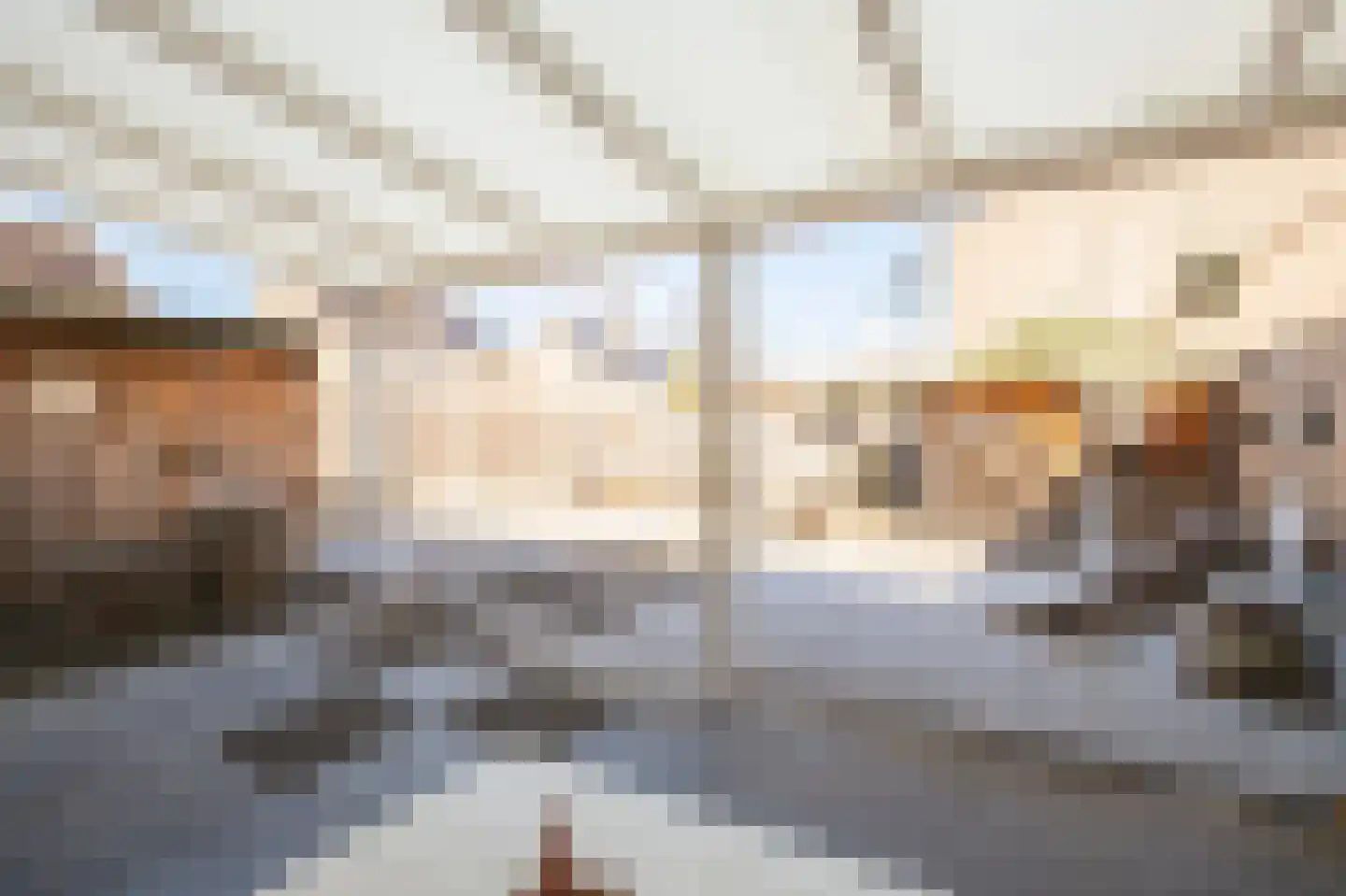 Adelaarshorst 4 Roermond thumbnail 18