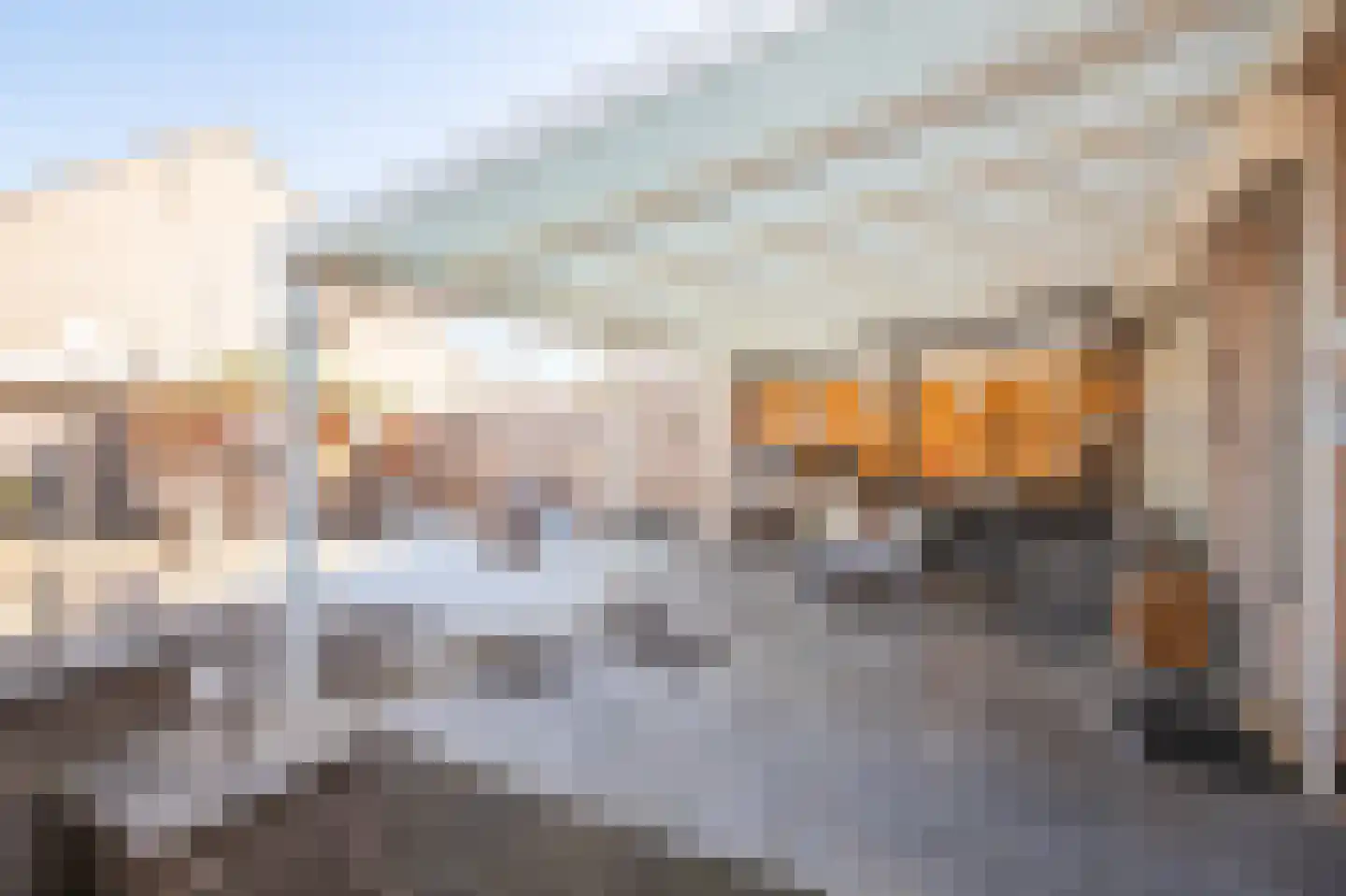 Adelaarshorst 4 Roermond thumbnail 19
