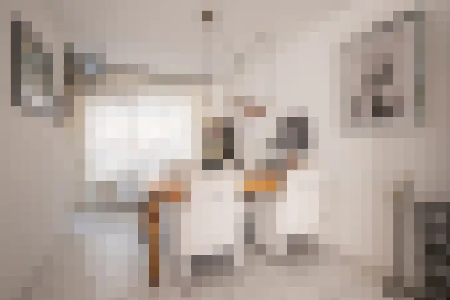 Adelaarshorst 4 Roermond thumbnail 6