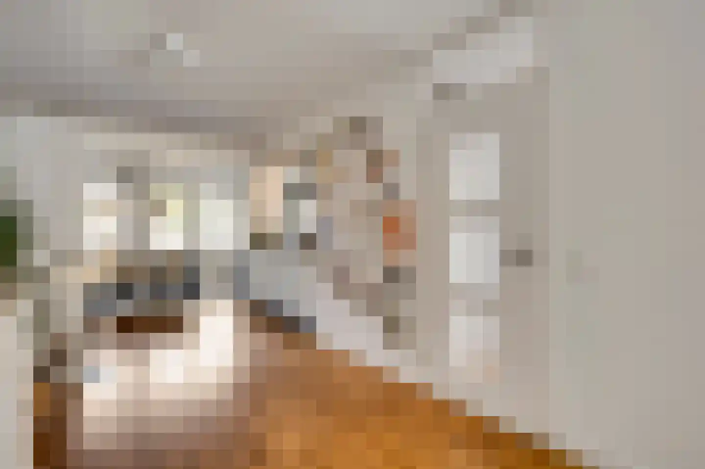 Adelaarshorst 54 Roermond thumbnail 10