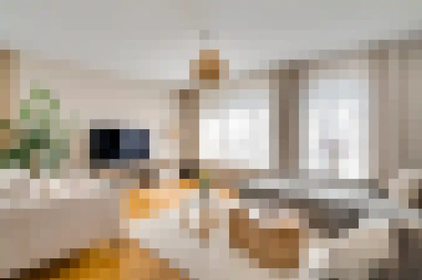 Adelaarshorst 54 Roermond thumbnail 8