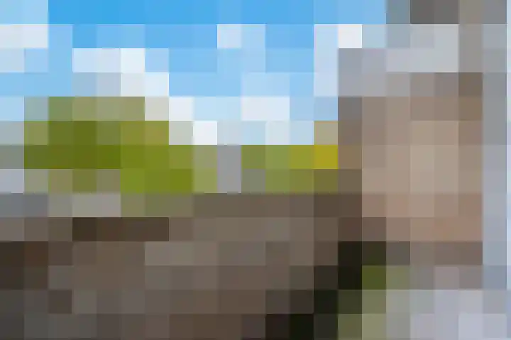 Adelaarslaan 116 Apeldoorn thumbnail 16