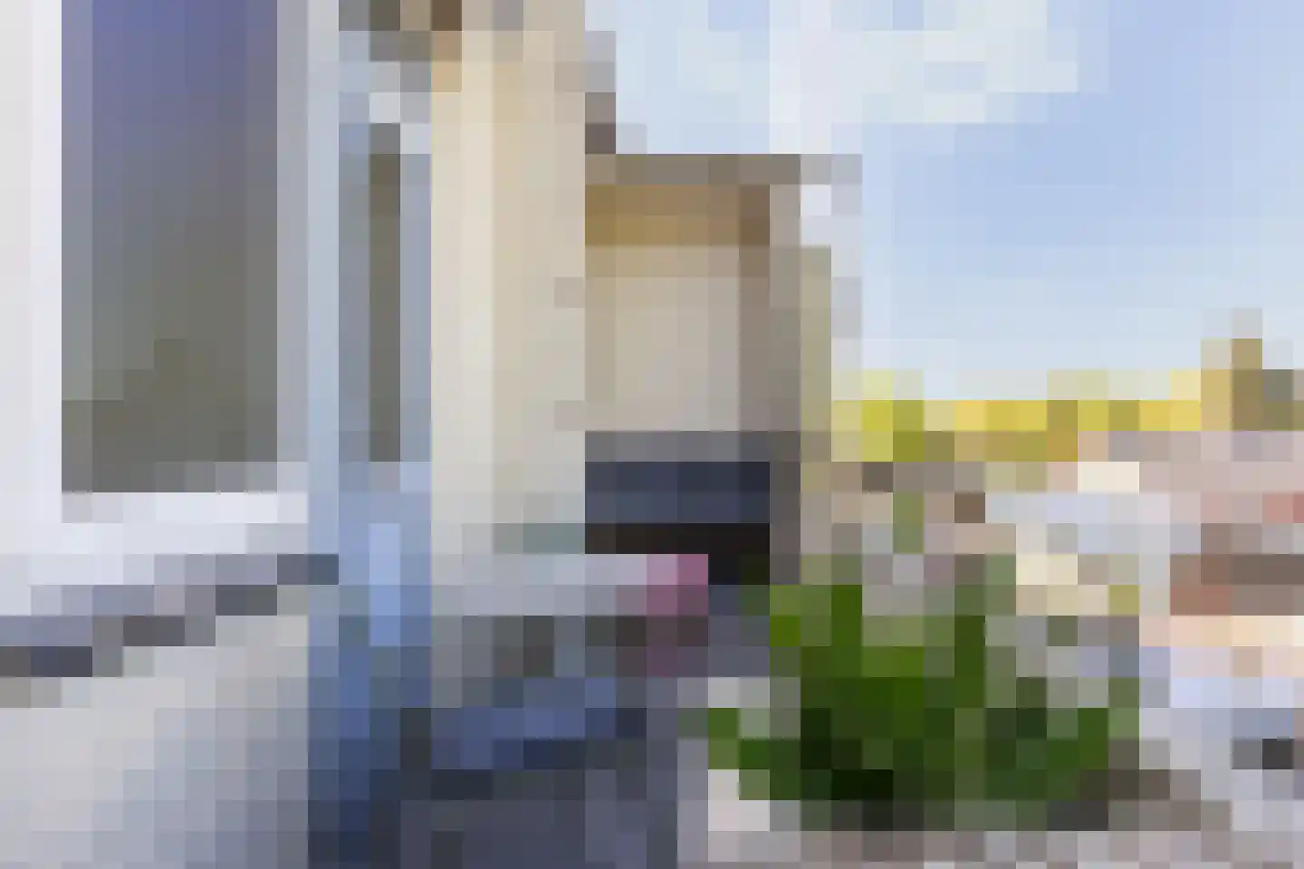 Adelaarslaan 116 Apeldoorn thumbnail 16