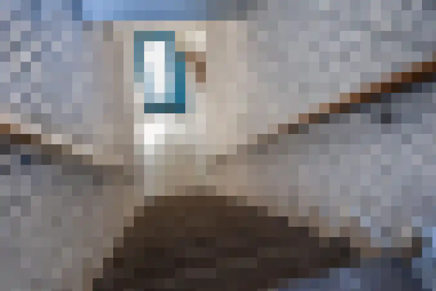 Adelaarslaan 116 Apeldoorn thumbnail 20