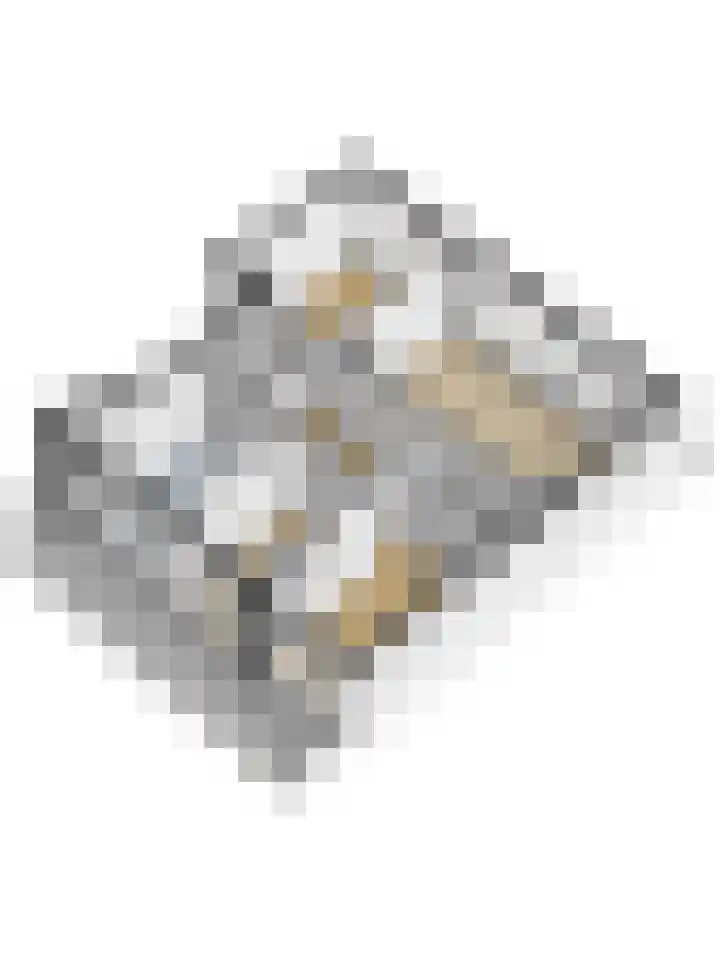 Adelaarslaan 116 Apeldoorn thumbnail 26