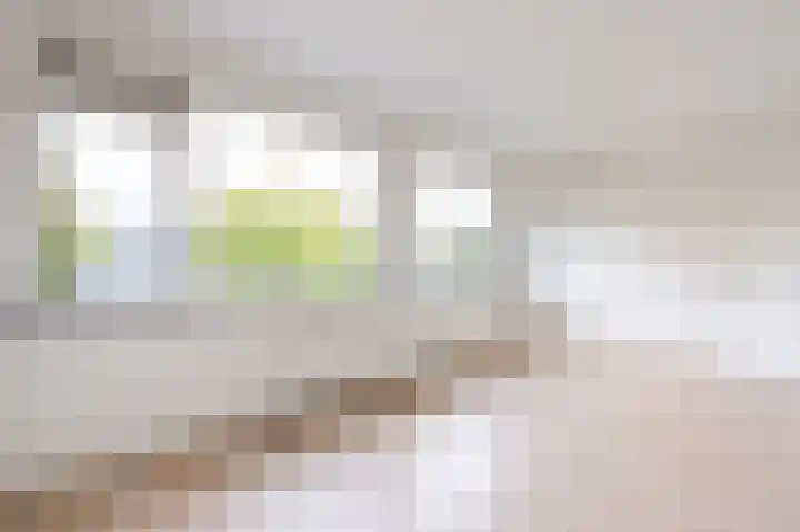 Adelaarslaan 116 Apeldoorn thumbnail 4