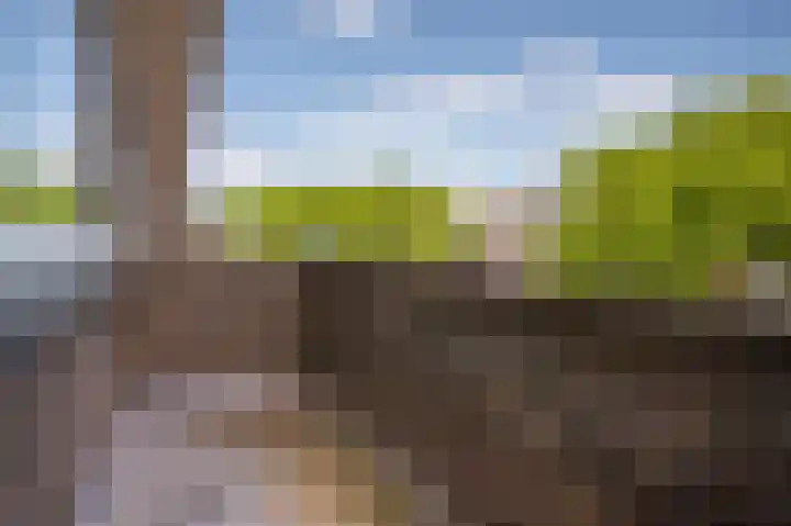 Adelaarslaan 138 Apeldoorn thumbnail 10