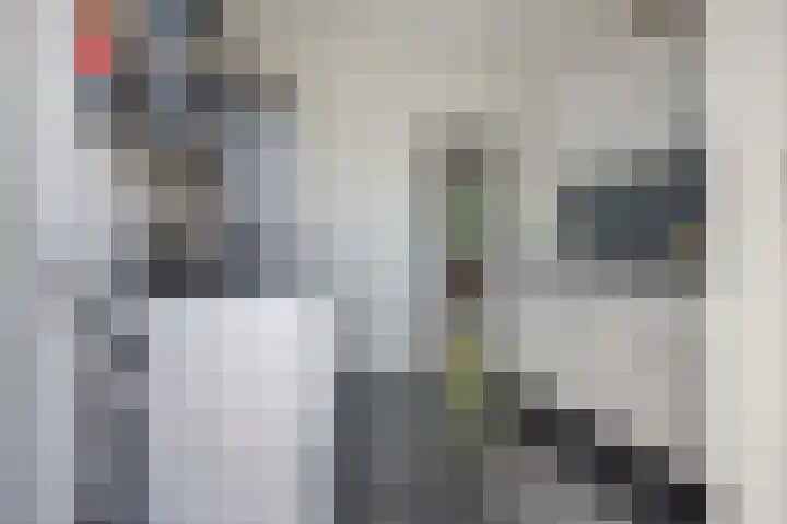 Adelaarslaan 138 Apeldoorn thumbnail 13