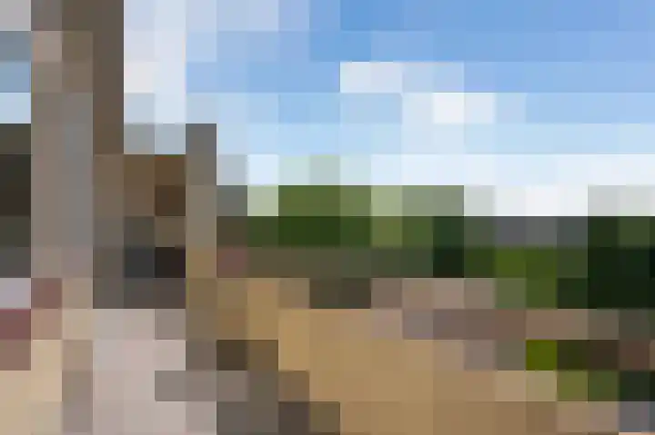 Adelaarslaan 138 Apeldoorn thumbnail 16