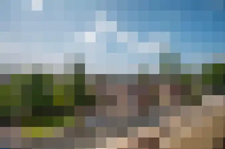 Adelaarslaan 138 Apeldoorn thumbnail 17