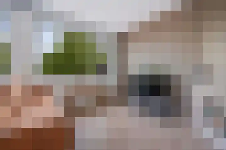 Adelaarslaan 138 Apeldoorn thumbnail 7