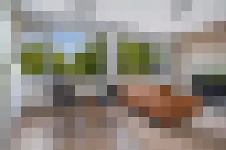 Adelaarslaan 138 Apeldoorn thumbnail 9
